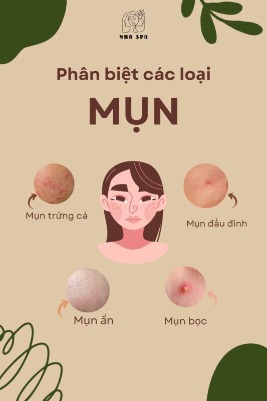 phan biet cac loai mun 1