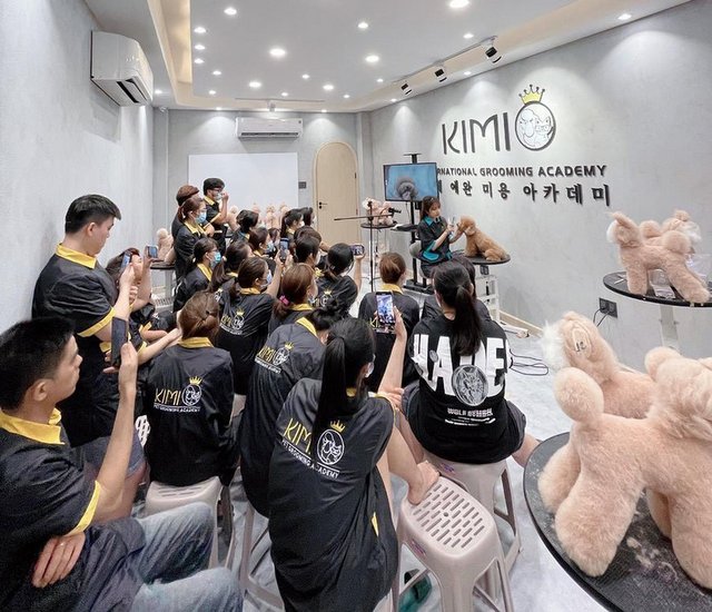 Kimi Pet spa cho meo