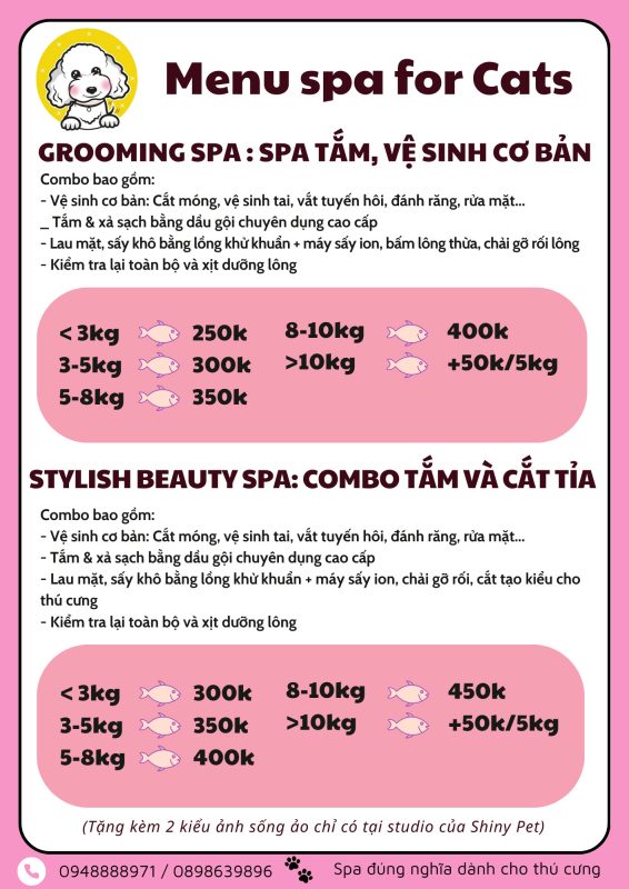 dich vu spa cho meo 1