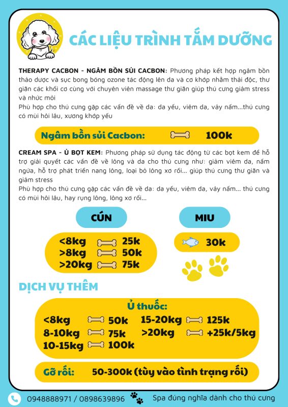 dich vu spa cho meo 3