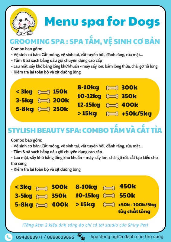 dich vu spa cho meo 4
