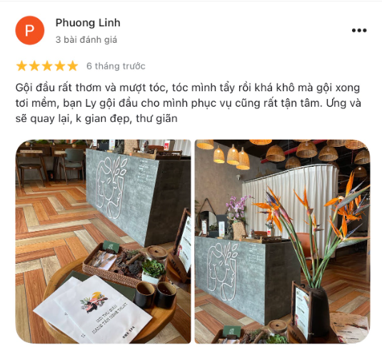 review luu ly